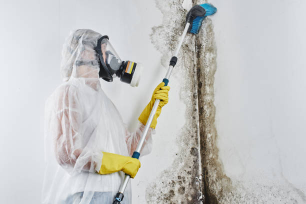 Carpet water damage restoration