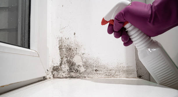 Professional Water damage restoration in Boley, OK